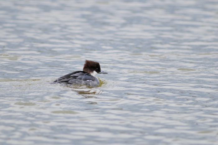 2008/1/2　奈良県